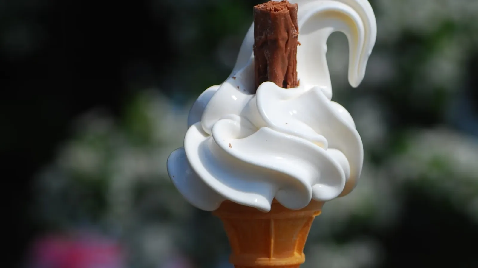 A 99 Flake ice cream cone with a chocolate flake inserted into vanilla soft serve
